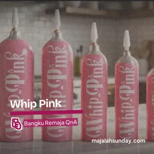 Bangku Remaja || Whip Pink