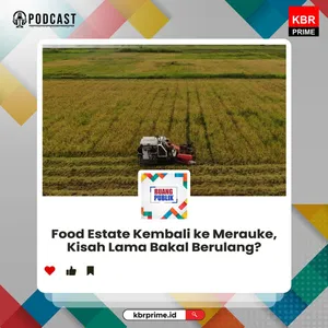 Food Estate Kembali ke Merauke, Kisah Lama Bakal Berulang?