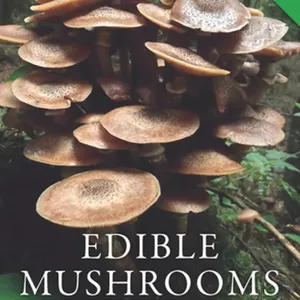PDF eBook Edible Mushrooms: A forager's guide to the wild fungi of Britain, Ireland and Europe #download