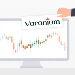 How Varanium Cloud rigged its own SME IPO
