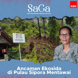 Ancaman Ekosida di Pulau Sipora (Bagian 1)