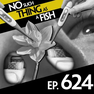 No Such Thing As A Hedgehog In A Lifeboat