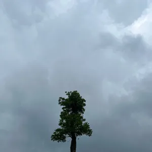 Jadi Dewasa Itu Capek Ya?