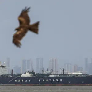 Iran war: World leaders respond to economic impact