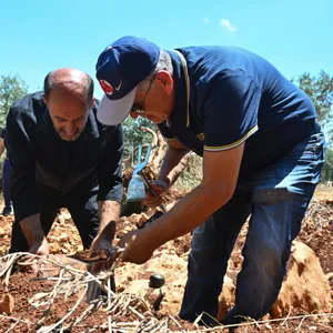 Heavy environmental toll of war in southern Lebanon