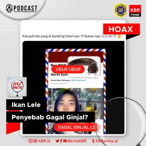 Cek Fakta: Video Bernarasi Ikan Lele Penyebab Gagal Ginjal?