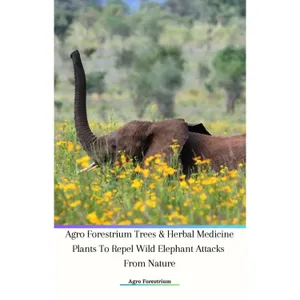 Agro Forestrium Trees & Herbal Medicine Plants To Repel Wild Elephant Attacks From Nature Podcast Ver