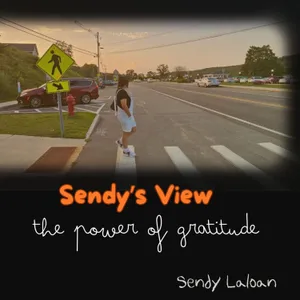 Eps 033 - Sendy's view : The power of gratitude