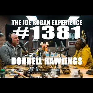 #1381 - Donnell Rawlings