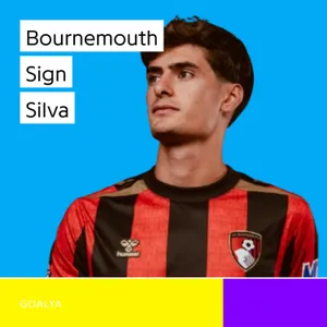 The South Coast Steal: António Silva’s £25m Bournemouth Move and Benfica’s Deficit