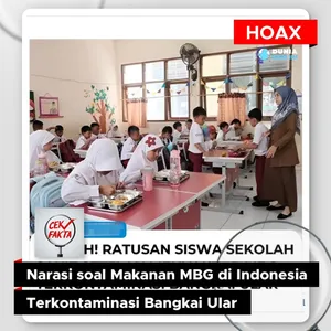 Cek Fakta: Narasi soal Makanan MBG di Indonesia Terkontaminasi Bangkai Ular