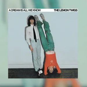 Hear a live acoustic performance from The Lemon Twigs