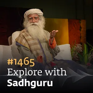 #1464 - The Donkey Who Outsmarted Everyone