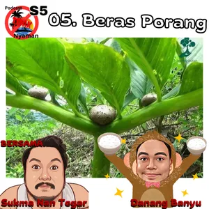 Beras Porang