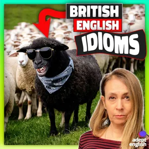 British English Idioms You Can Use Everyday Ep 734