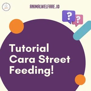 Eps 73 - Tutorial Cara Street Feeding!