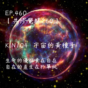 馬雅星球之旅｜EP460－【共修覺醒260】-KIN104宇宙的黃種子-生命的優雅貴在自在，自在的產生在於單純。