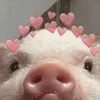 Wiwai Swiwi