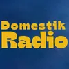 Domestik Radio