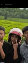 4lmi Pok3