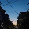 Senjaniii
