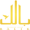 NEANGAN JALAN BALIK
