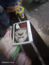 Aktivis 