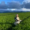 Oktarida Ningsih