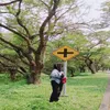 Putikk