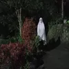 Grama zizi