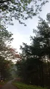 Vraaa