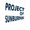 Project Of Sunburnk