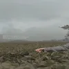 Rifadhiiie