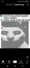 AlovaPedia