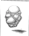 Noxigen