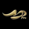 Muara Prima Entertainment