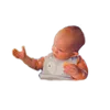 Opip
